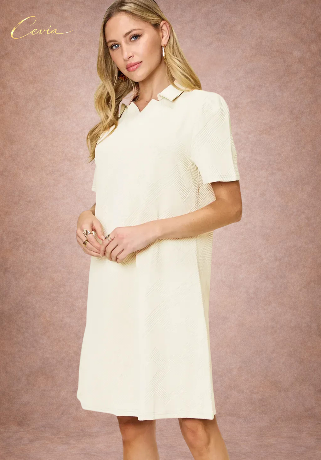 Textured Collared A-Line Dress