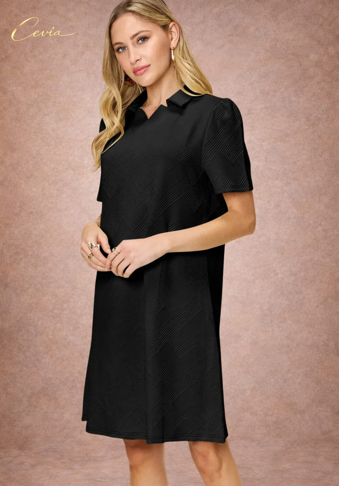 Textured Collared A-Line Dress