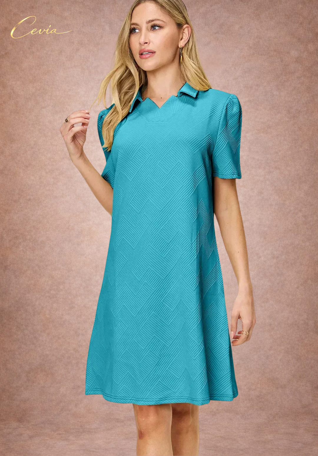 Textured Collared A-Line Dress