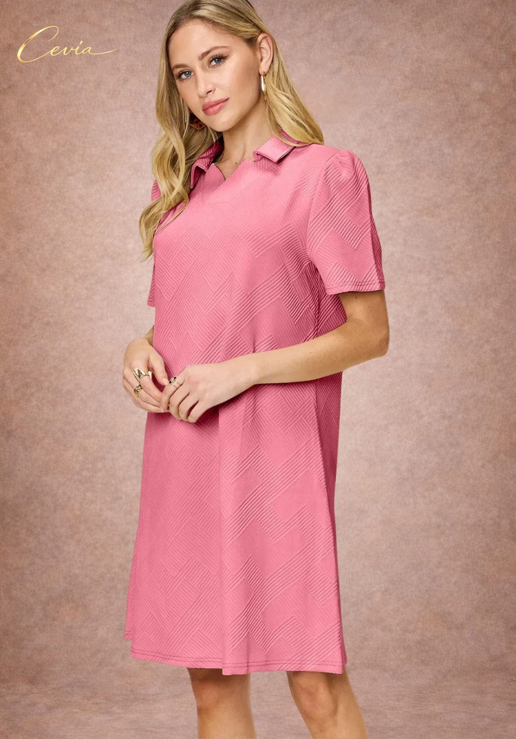 Textured Collared A-Line Dress