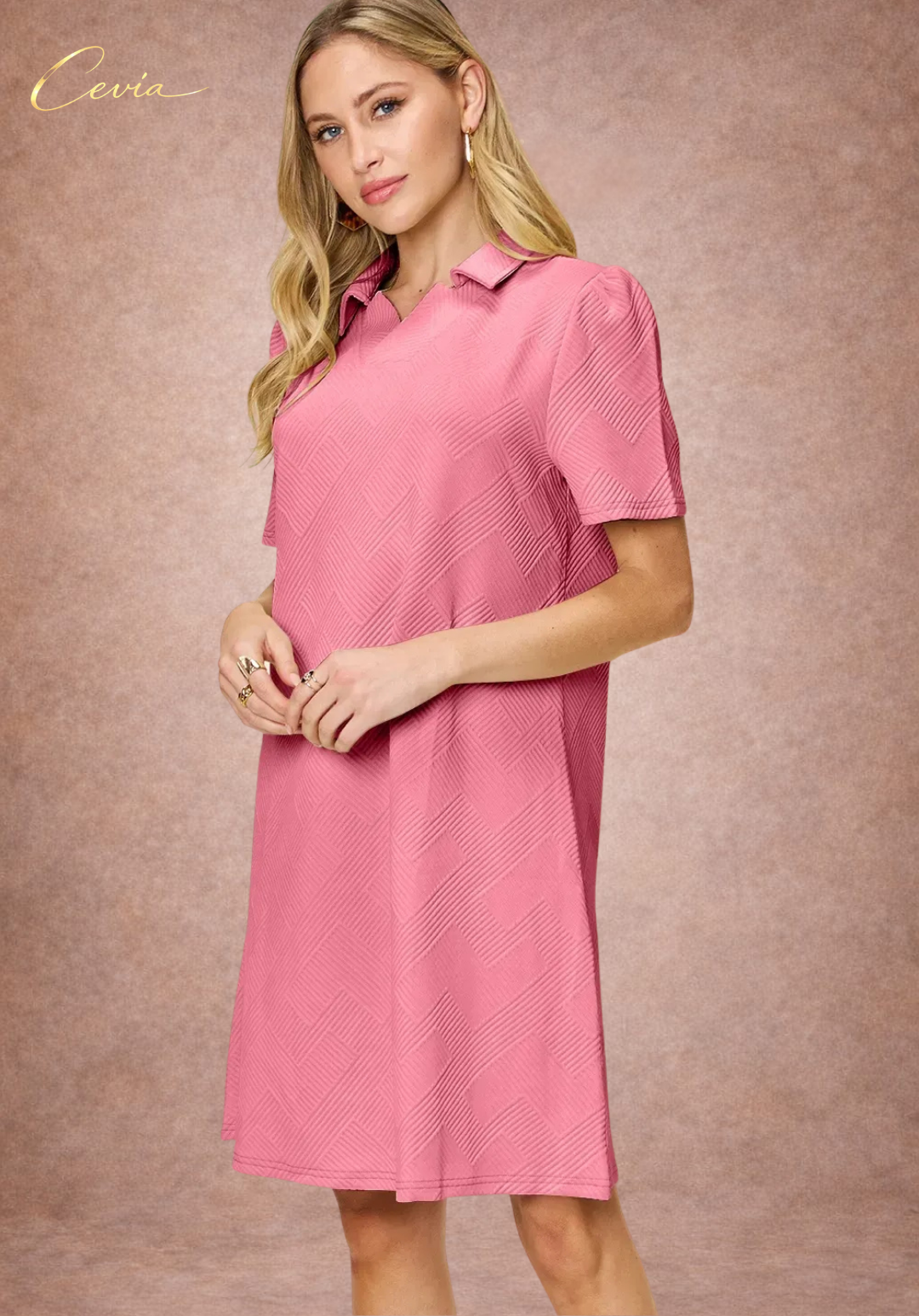 Textured Collared A-Line Dress