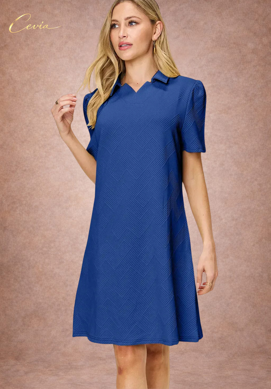 Textured Collared A-Line Dress