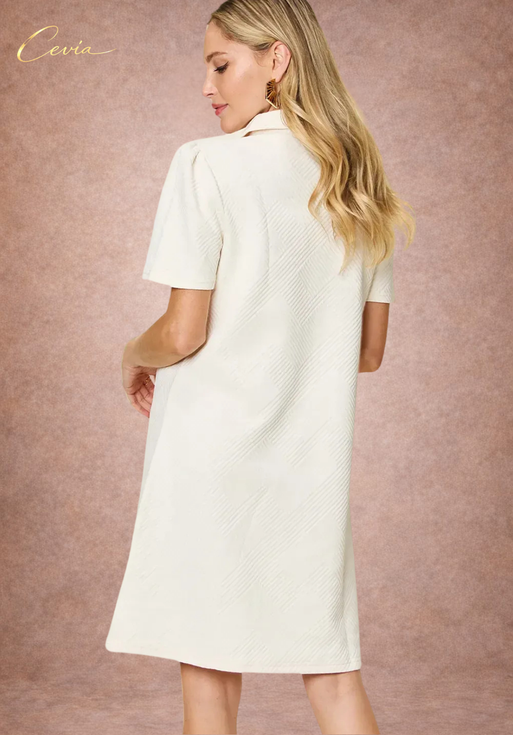 Textured Collared A-Line Dress