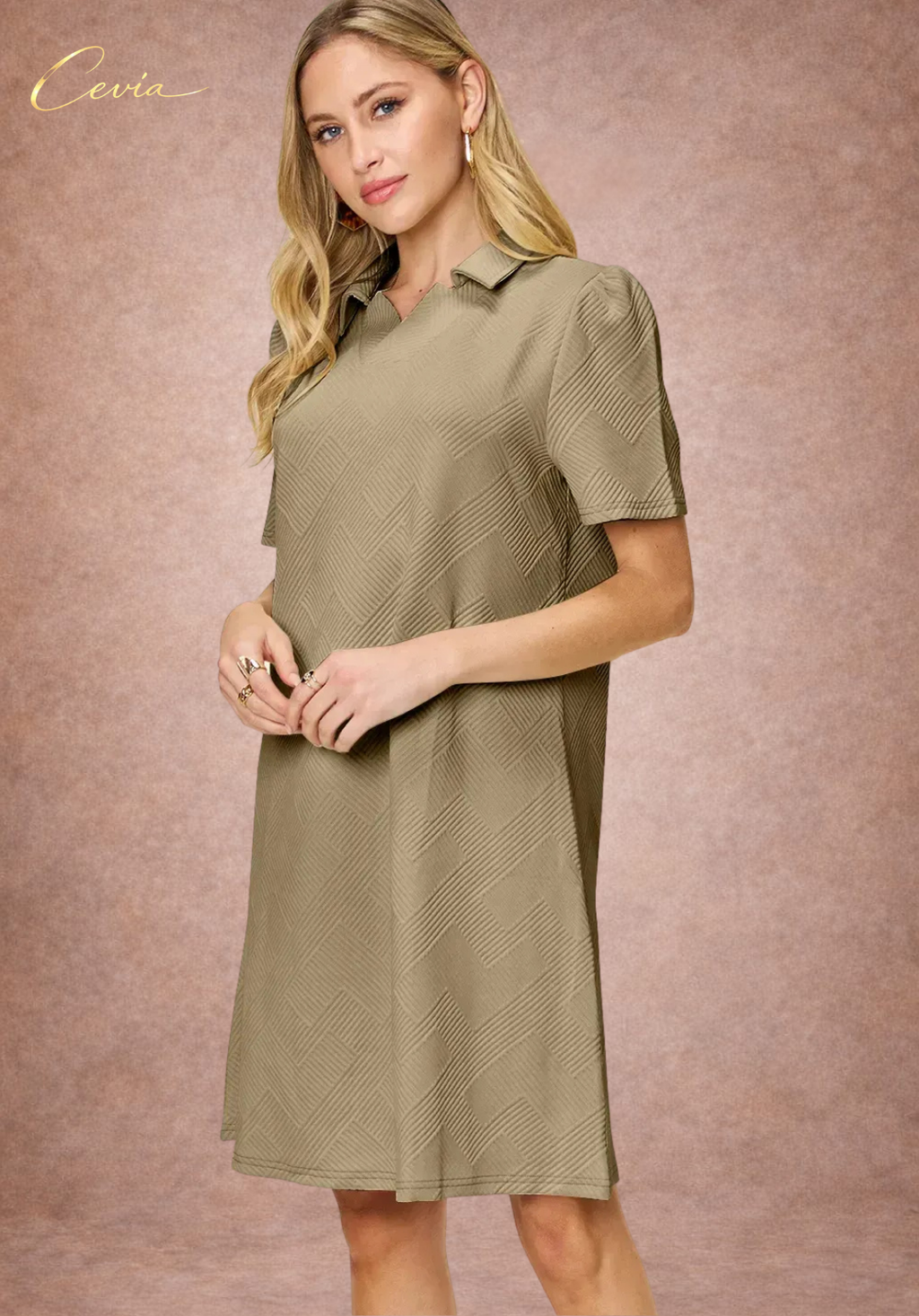 Textured Collared A-Line Dress