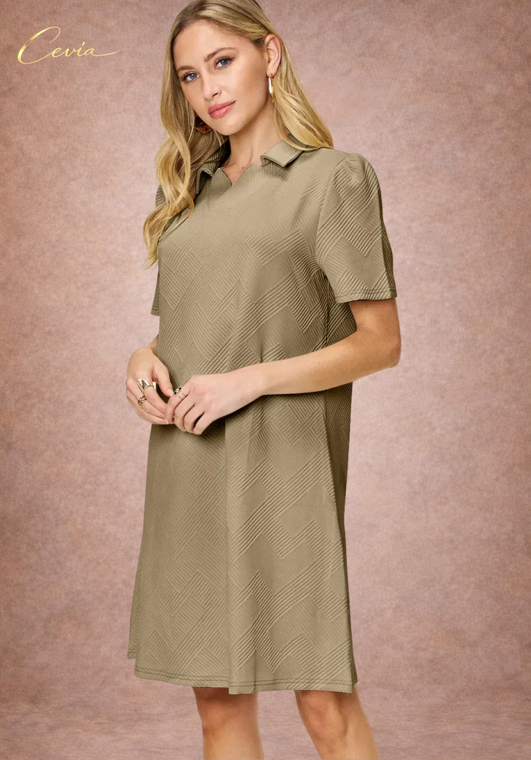 Textured Collared A-Line Dress