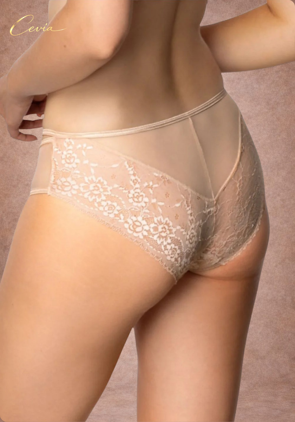 Sonnet Beige Lace-Mesh Briefs
