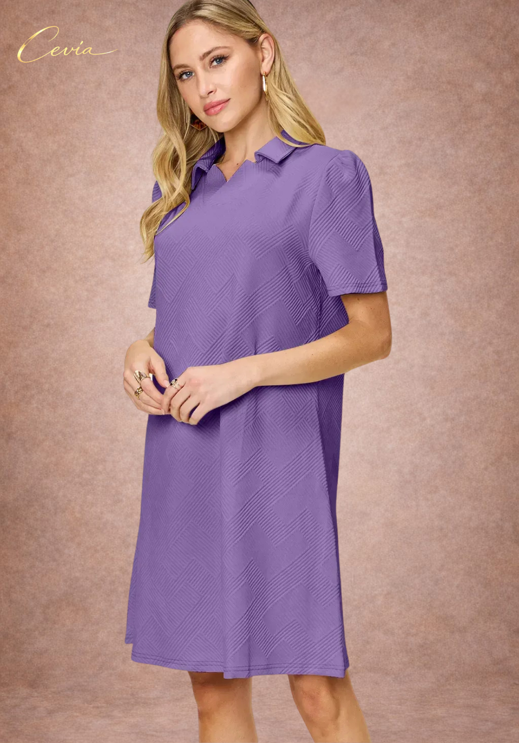 Textured Collared A-Line Dress