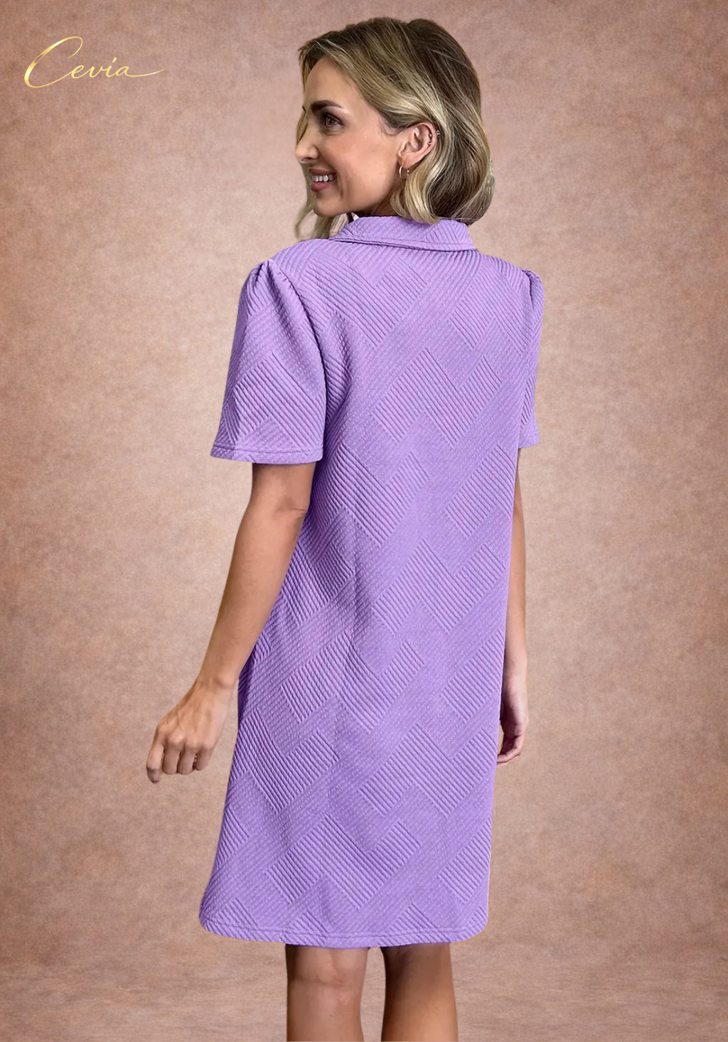 Textured Collared A-Line Dress