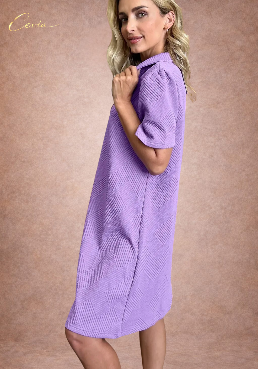 Textured Collared A-Line Dress